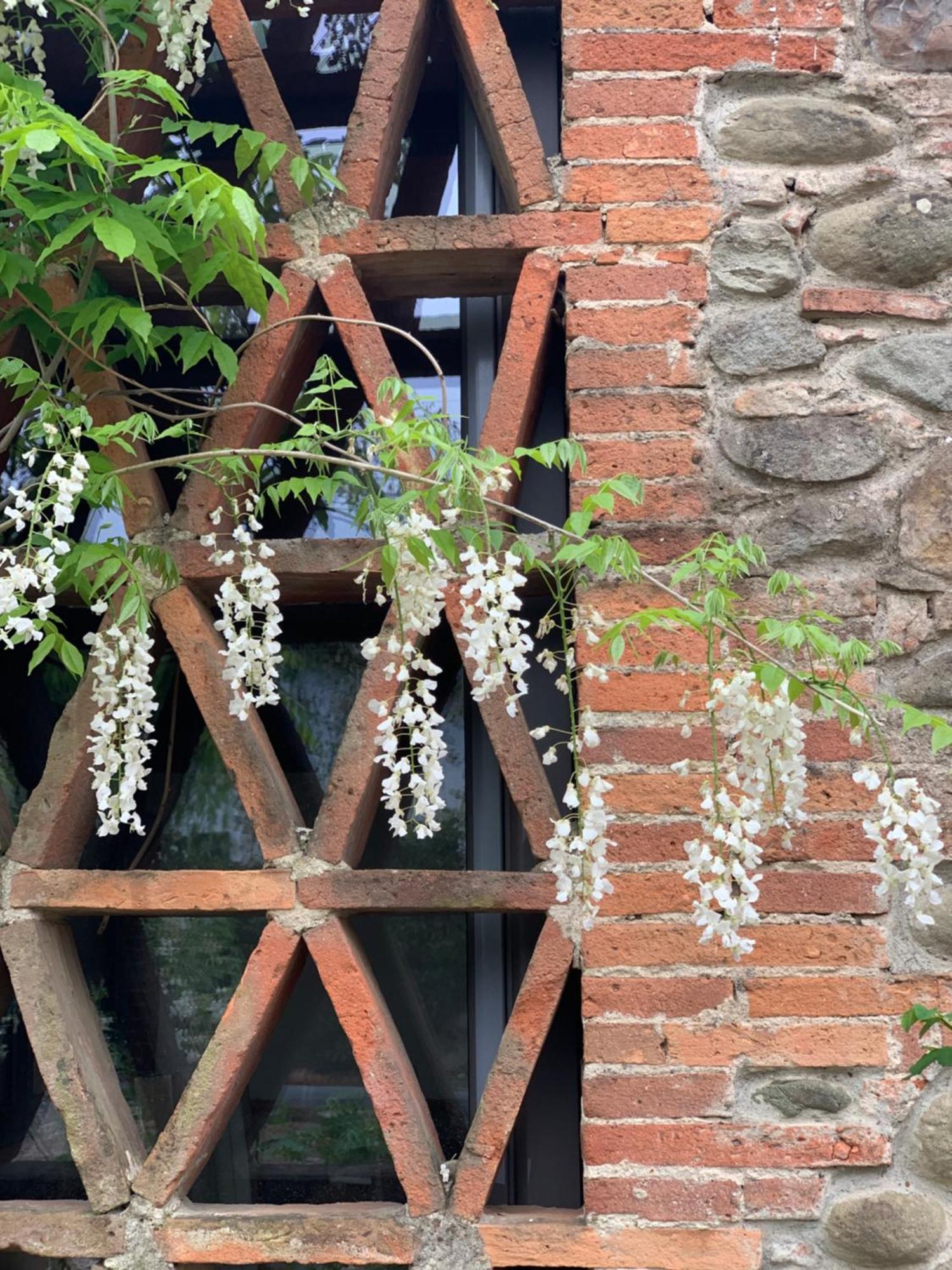 Casale La Gora - B&B Di Charme Филине Валдарно Екстериор снимка